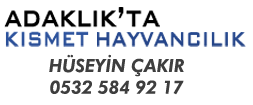 Ankara Adaklık | 10BİN TL'DEN BAŞLAYAN ADAKLIK KURBAN